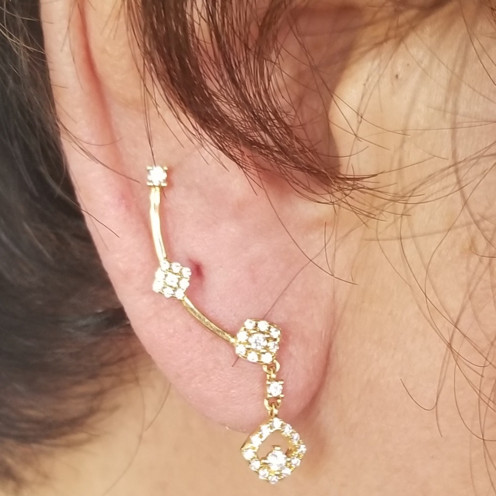Ear Crawler Earrings